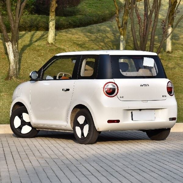 Chang'an Lumin Electric Car